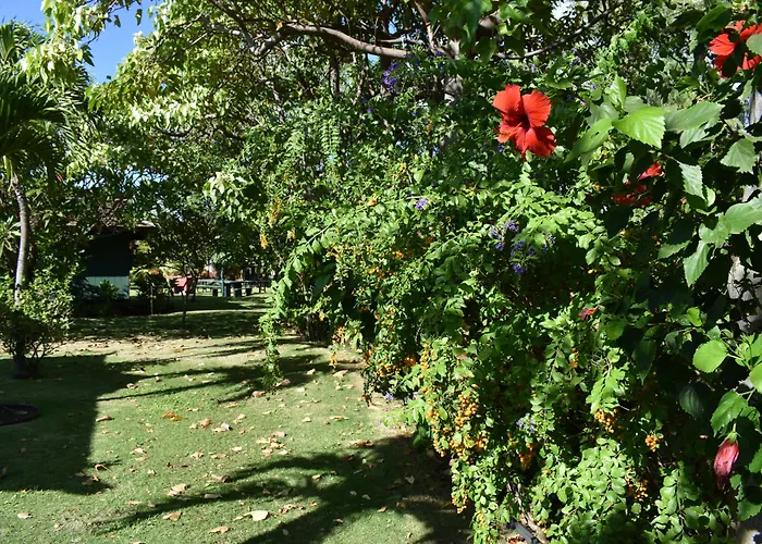 Nona Lani Cottages